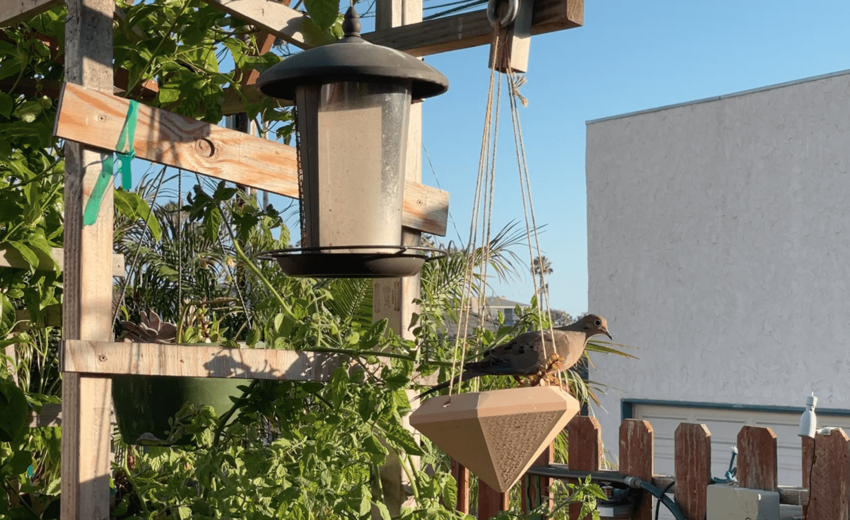 dove in 3d printed hanging planter