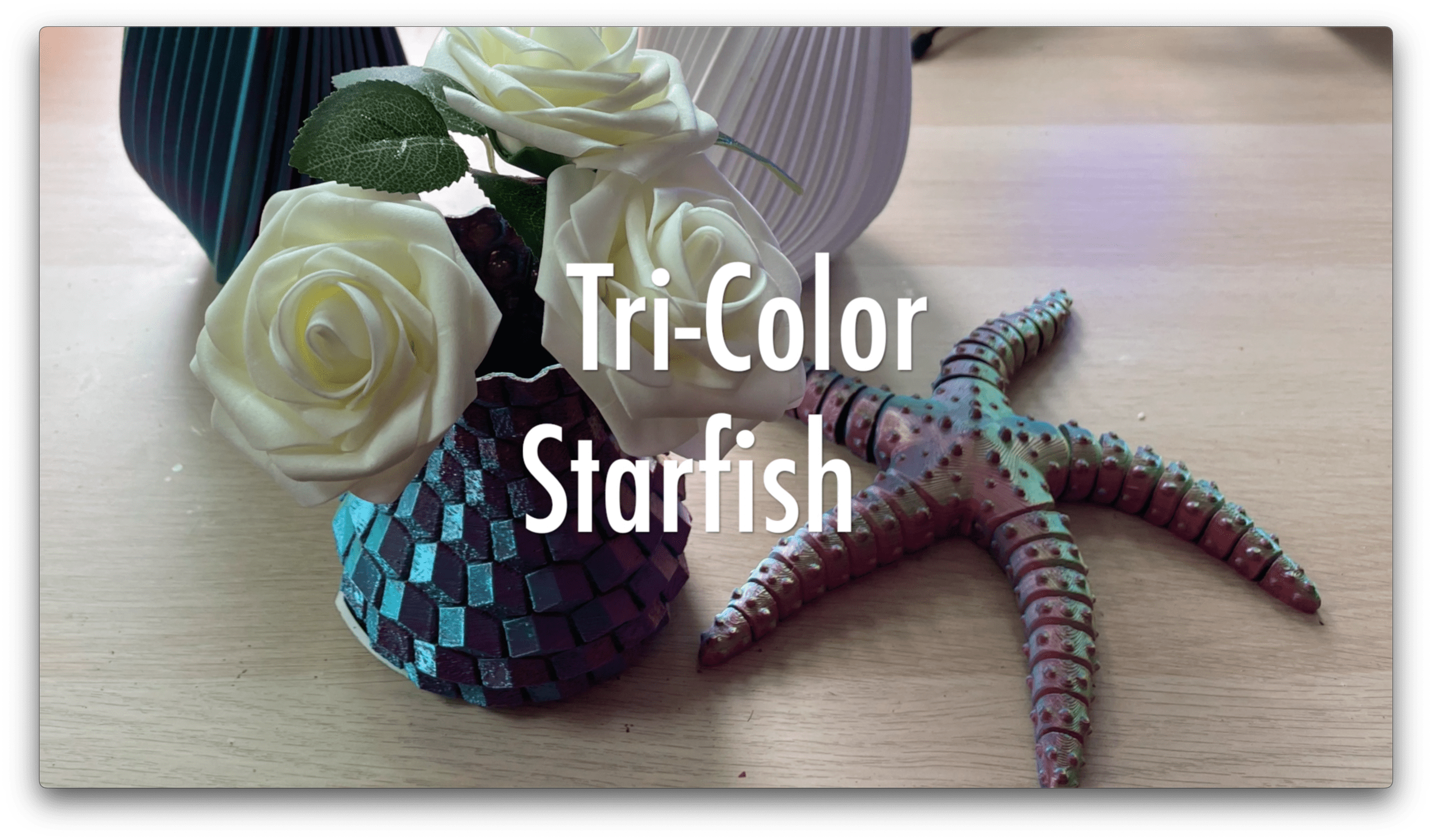 tri-color starfish